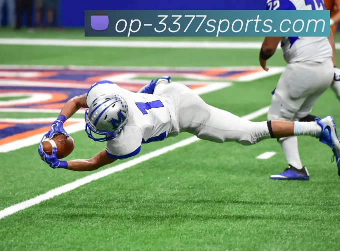 3377体育品牌故事