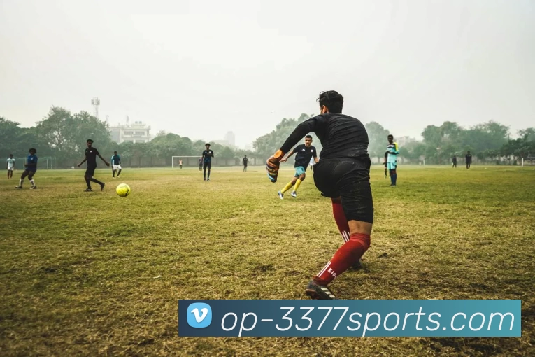 3377体育服务体系